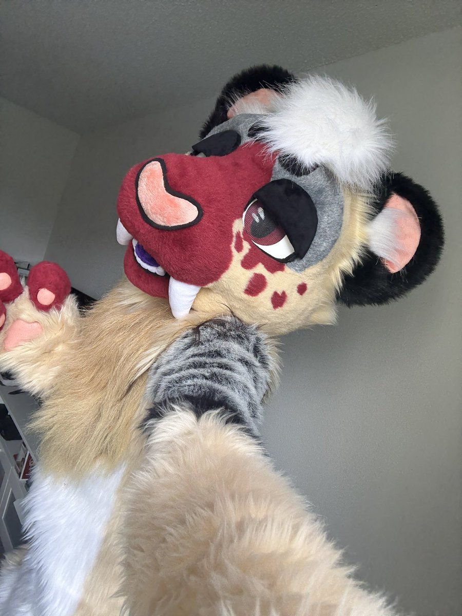 jayyydove's tweet photo. better pics soon to come but guess who’s fresh outta the box :) !! https://t.co/VeixxgQ0Bd