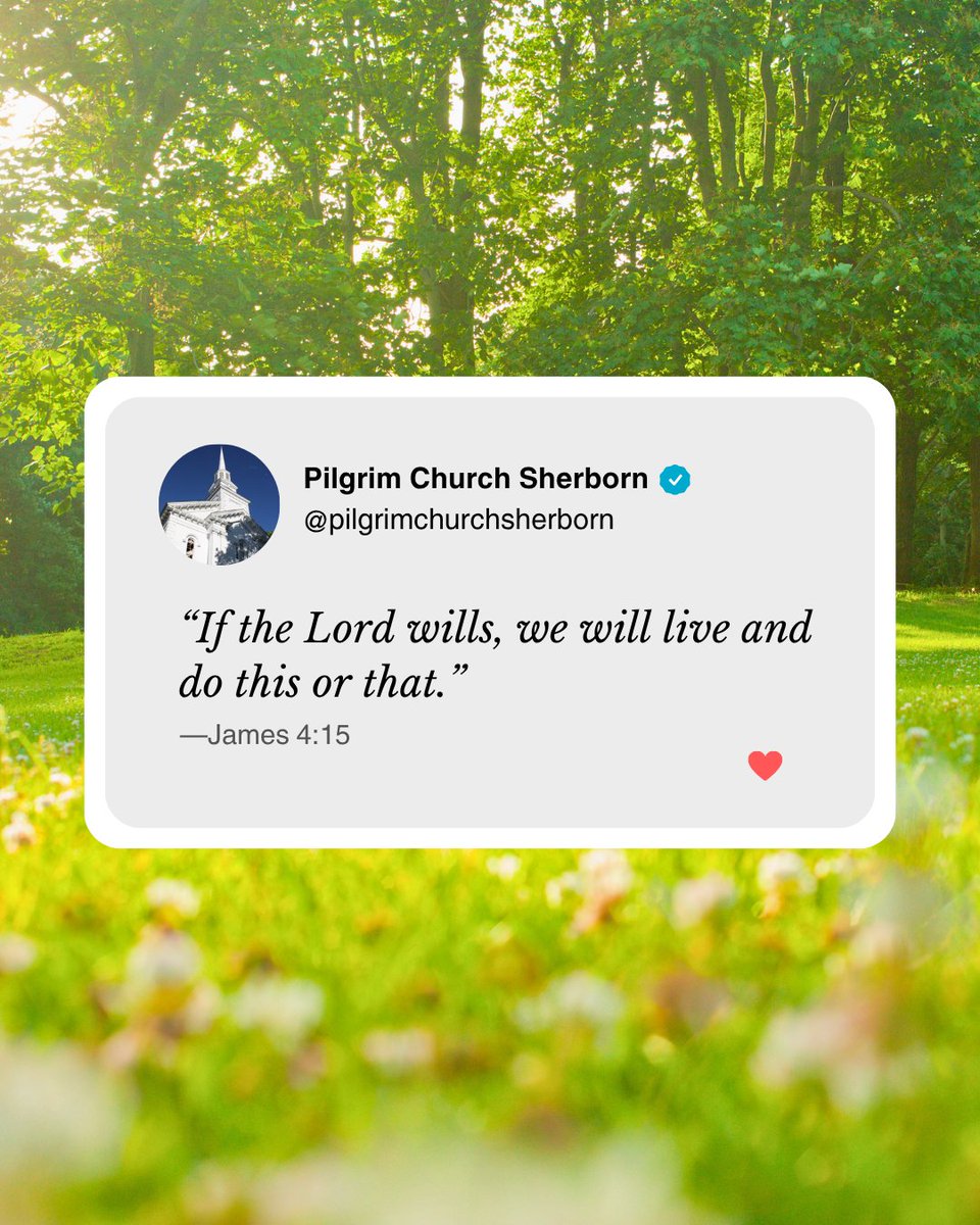 pilgrimsherborn's tweet photo. “If it is the Lord’s will, we will live and do this or that.”
—James 4:15 https://t.co/N3Qs6XRKNG