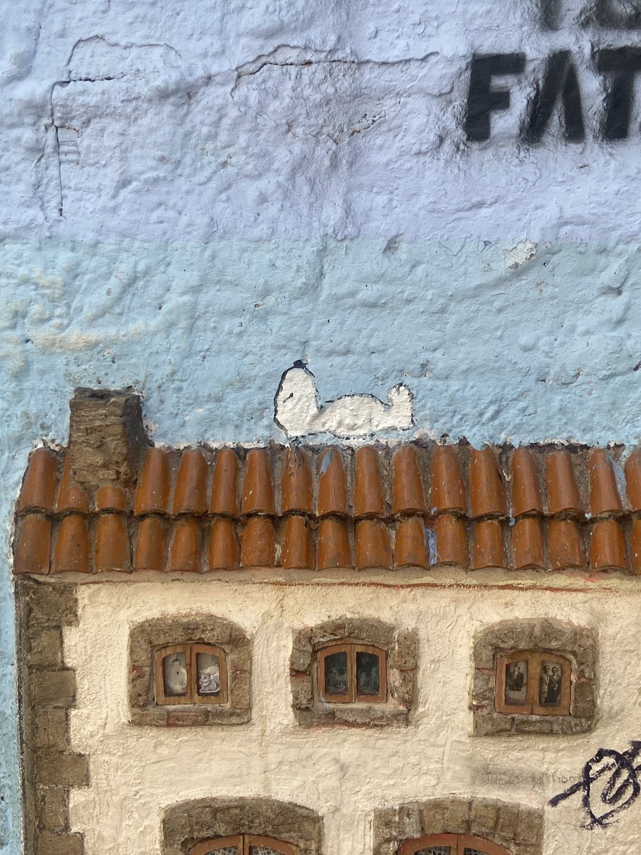 redtyres's tweet photo. there’s a little house for stray cats in valencia and it has snoopy on it https://t.co/L1Bhq3Tv1p