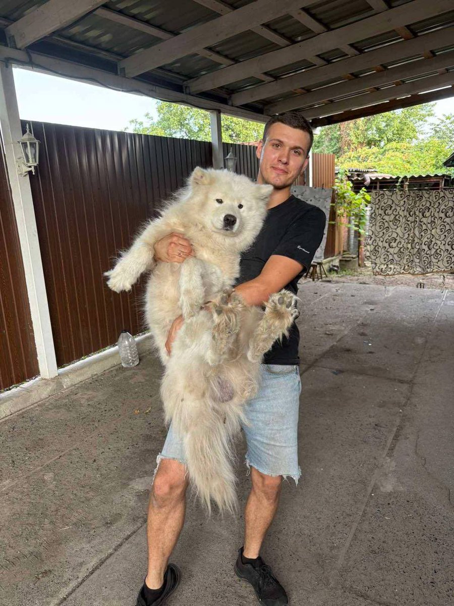 NikZharov's tweet photo. антикриз від Нової Пошти: 

придумати казку, ніби-то вони звільнили співробітників, які виганяли собаку в спеку, 

а потім викласти відео з цими ж співробітниками, які ніби-то «приютили» собачку))) https://t.co/cgM6fJhzp3