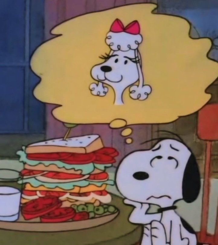 DailySnoopys's tweet photo. https://t.co/6Zkq6zPF6j