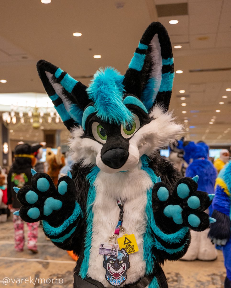 sonnikwusky's tweet photo. Happy #fursuitFriday all!
Pic: https://t.co/8JVUxlih3Q https://t.co/g6vqsla7kz