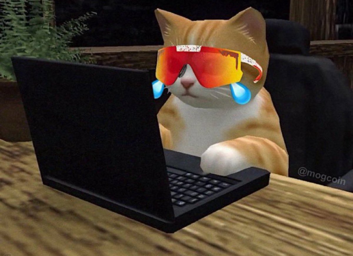 yungdoteth's tweet photo. not now kitten i am mogging online with my friends https://t.co/YHXzHK0NqT
