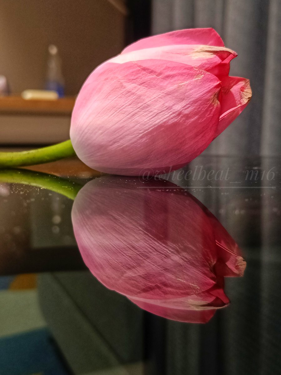wheelbeat_m16's tweet photo. What's your favourite reflection shot?

#theme_pic_world_reflections https://t.co/Z1Ko6Zfgk4