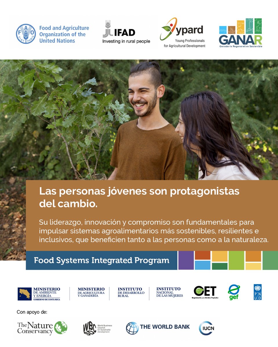 PNUD_CR's tweet photo. ¡Les damos la bienvenida a esta experiencia de aprendizaje!

Iniciamos  una nueva experiencia de aprendizaje para fortalecer el liderazgo de las personas jóvenes en la transformación de los sistemas agroalimentarios. https://t.co/Z6C9SrTpUj