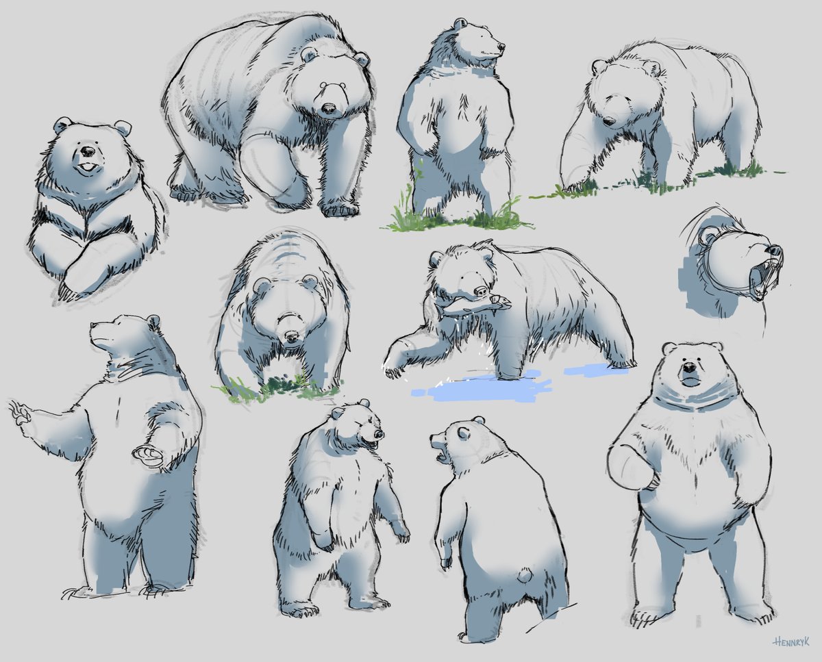 HennryK_21's tweet photo. I love bears🐻 https://t.co/JpzlW2JNpb