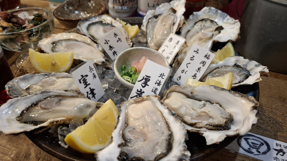 SHIMURA_BEST's tweet photo. 貝酒場 「かきべえ」で５種類の牡蠣を食べ比べてみました😊

生牡蠣 やはり美味い‼️

 #貝酒場かきべえ
 #赤羽
 #生牡蠣 https://t.co/t1K3UcVfdt