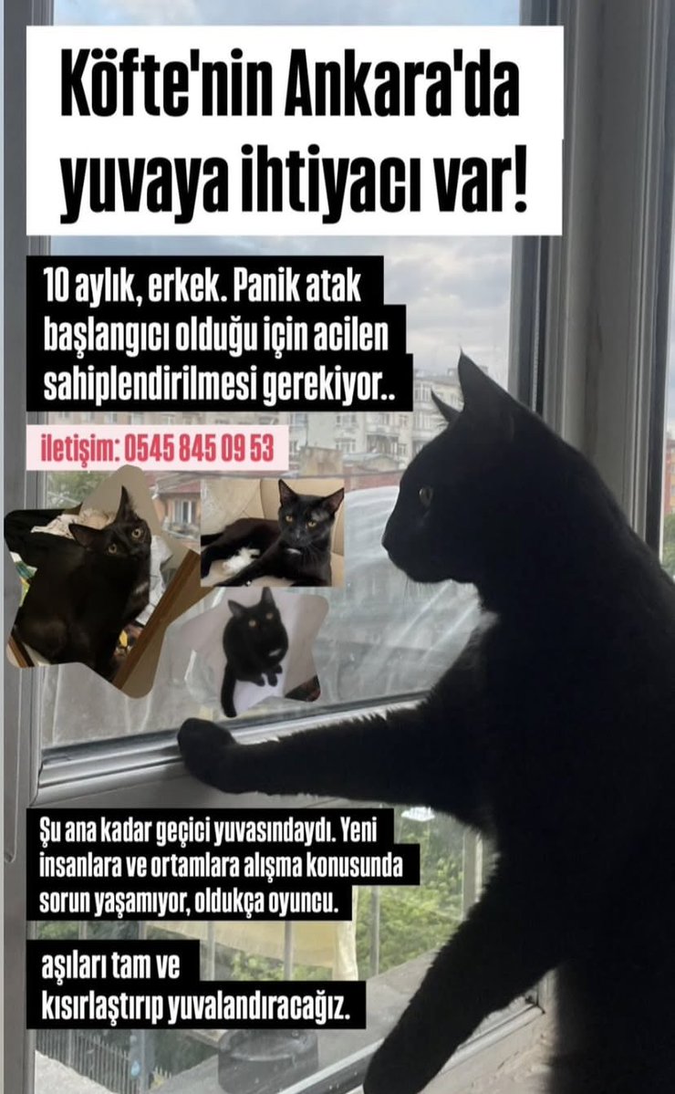 ayswaitt's tweet photo. Paylasabilir miyiz dostlar https://t.co/Pfqo3oichx