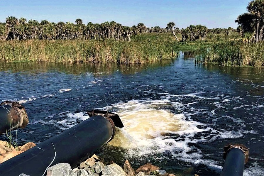 WetTribe's tweet photo. Nutrient pollution, driven by excess nitrogen and phosphorus, acts as a powerful fertilizer in runoff. This surplus fuels rapid growth of aquatic plants and algae, creating vast coastal blooms, expanding the Sargassum Belt, and causing algal blooms. #FridayFieldUpdate https://t.co/zP25EJa8mu