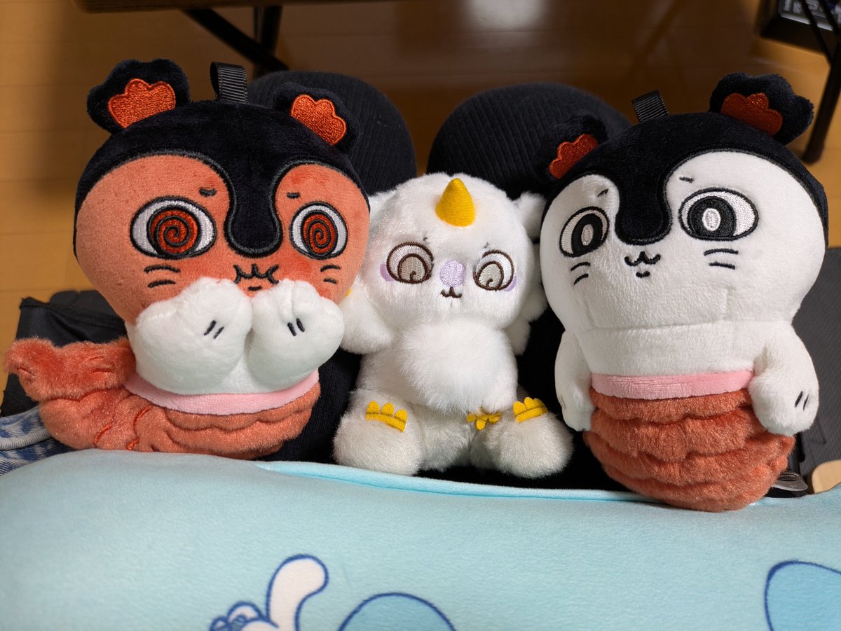 n0nnn0's tweet photo. 捕獲してきた。
味の濃いものいっぱい作るからね💪 https://t.co/CpIHNczAfp