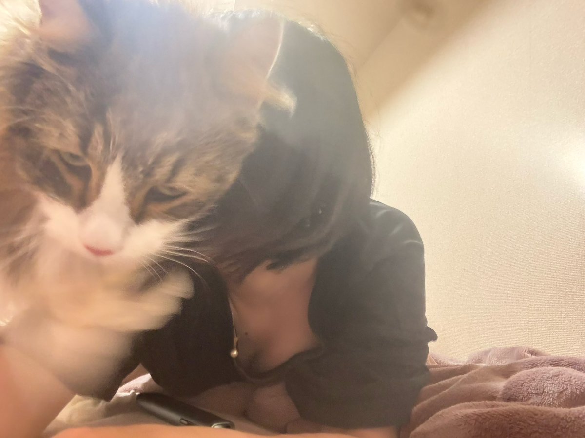 ss_Lotus823's tweet photo. 無事帰れました〜！！！！！！！！ https://t.co/1LfOWOlrvQ