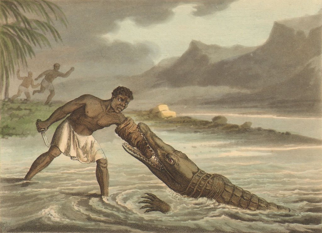 Baakouu's tweet photo. chasseur de crocodiles au couteau. Bras recouvert d'une peau de vache, Senegal 1814 https://t.co/EIKUcw86HL