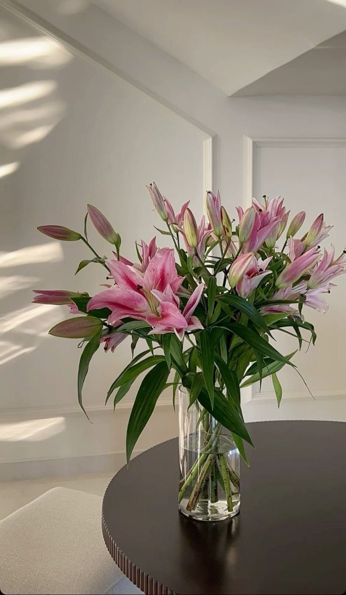 silenttearthh's tweet photo. i love lilies 🩷 https://t.co/stDblakeIE