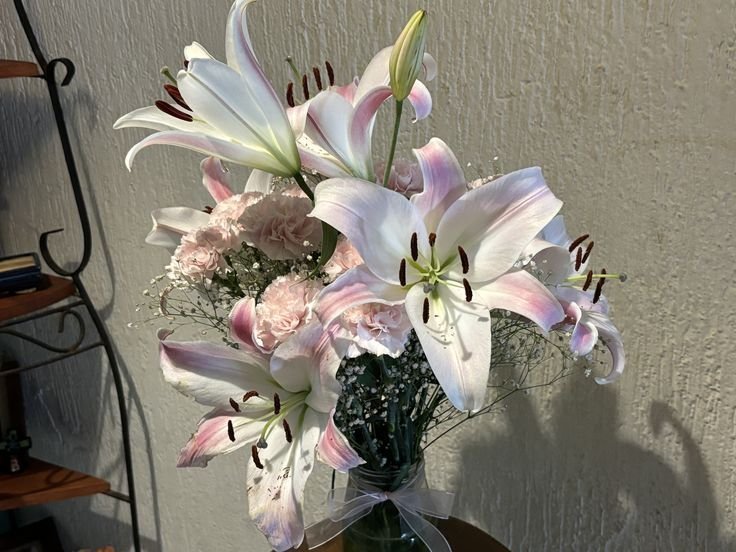 silenttearthh's tweet photo. i love lilies 🩷 https://t.co/stDblakeIE