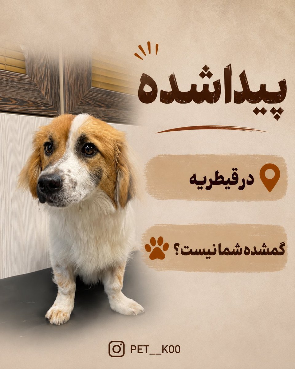 pet__koo's tweet photo. به گفته شما:
من این بچه رو تو قیطریه پیدا کردم میشه لطفا آگهیش کنید 
، سنش هم خیلی کم
09122178644

گمشده شما نیست؟

هر یک ریتوییت شما ممکنه زندگی این بچه رو تغییر بده، 
ساده نگذریم🫆 https://t.co/Affhd1Vs1n
