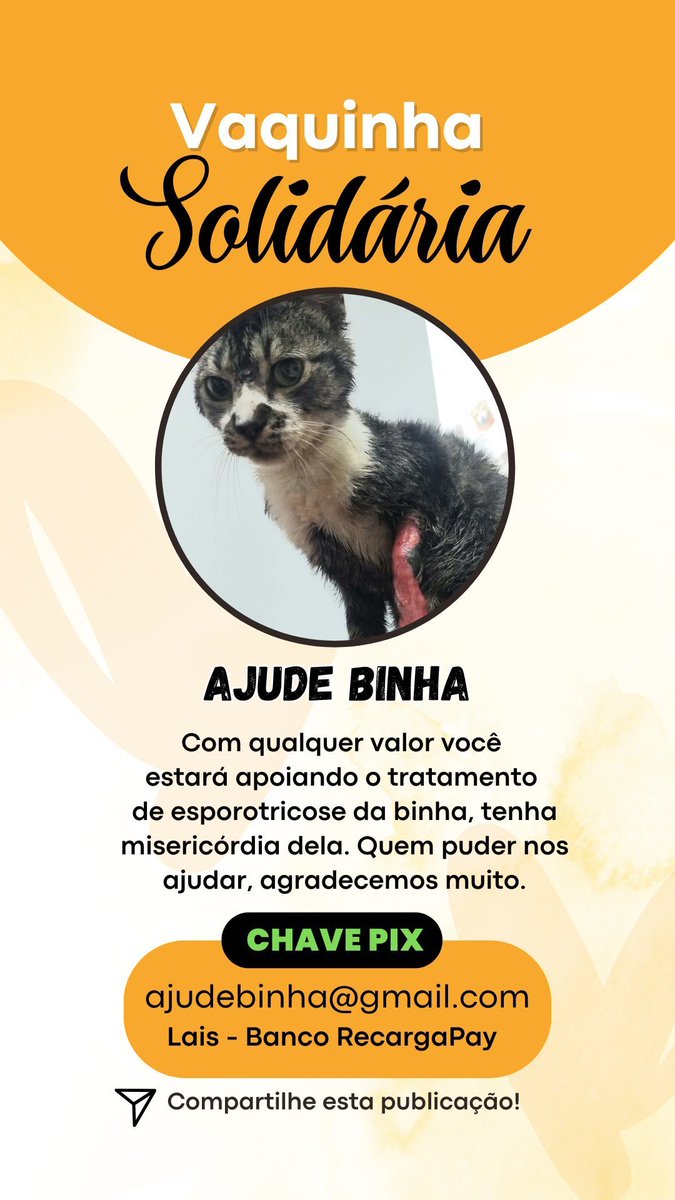 binhagatsx's tweet photo. Binha foi resgatada com esporotricose, uma doença fúngica que causa feridas profundas e dolorosas na pele, principalmente no focinho, orelhas e patas. Embora seja grave, tem cura. O tratamento é longo e caro, por isso estou vindo aqui implorar por sua bondade para cuidar dela!!!! https://t.co/rXX1h3GbVV