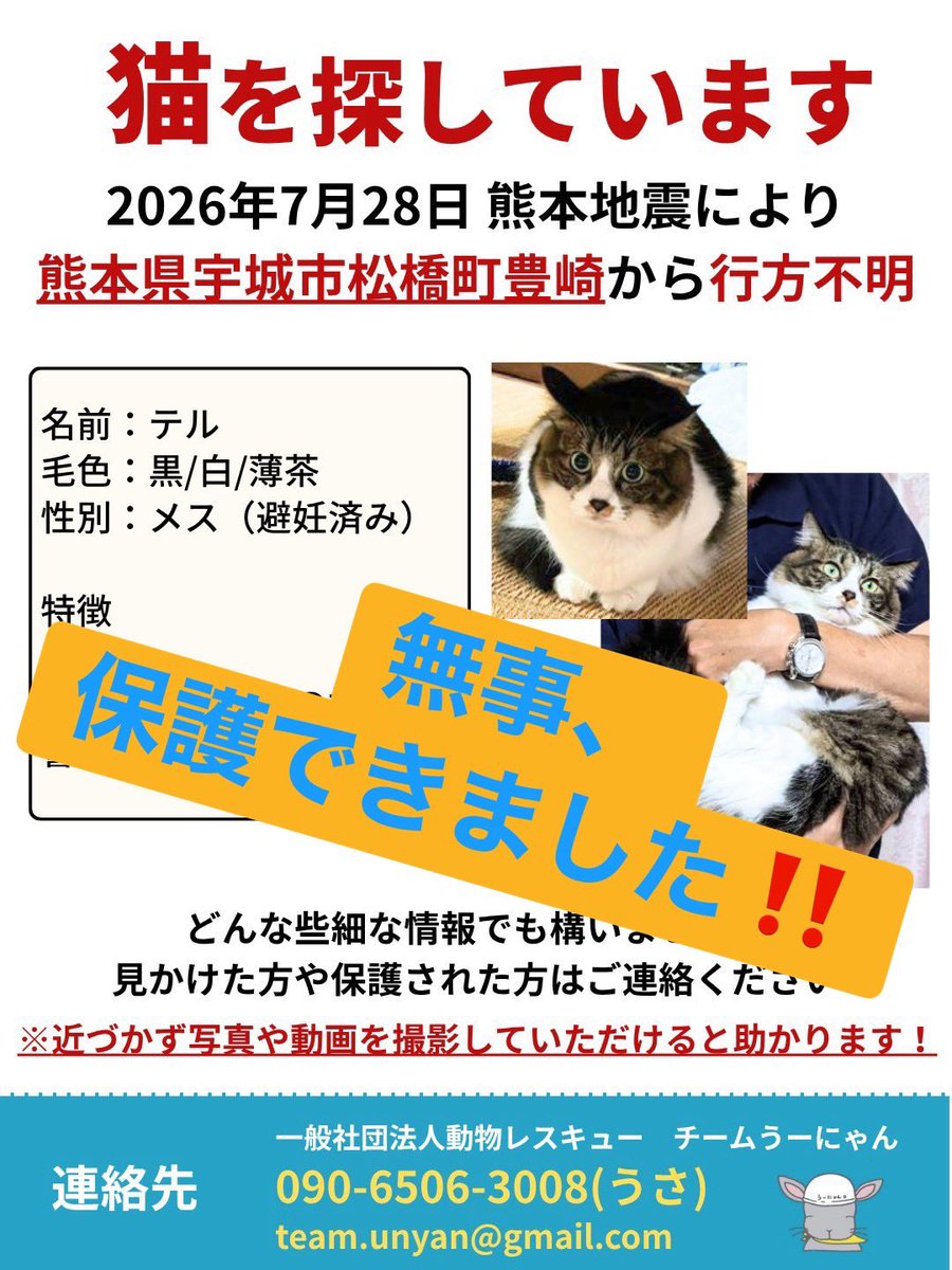____Usa's tweet photo. 【テルちゃん、無事保護できました✨】
チームうーにゃんスタッフです。

うささんから、嬉しいお知らせが届きました📢

テルちゃんを、無事に保護することができました。

設置していたカメラに5日前から写り始めていたテルちゃん。
姿を見せるのは、必ず玄関の前だけでした。

そして捕獲器に設置された、ごはんには全く興味を示そうとしませんでした。

うささんは、その様子を見て、"家に帰りたいけれど、家の中に入ったら、また地震が起きるんじゃないかという不安から、家の中に入れないように感じた"そうです。

それから、飼い主さんに、毎晩少しだけ玄関の入り口を開けておくようにお願いしました。

そして玄関の中に、テルちゃんの好きな食べ物、ベッドなど置いてもらいました。
すると、テルちゃんは、最初は頭だけ玄関に入ることができ、次の日は上半身まで、その次の日はしっぽ以外は入り、と、少しずつ玄関の中に入ってきてくれるようになりました。

そして、テルちゃんのベッドを玄関を上がった、また更に奥にずらすように伝えました。

そうすると玄関の中まで入り、部屋に入ってきてくれ、無事に保護することができました。

テルちゃん、お帰りなさい🍀