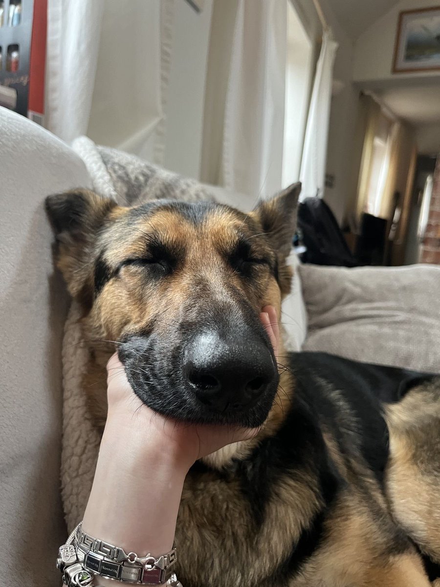 Sabrinapawquy's tweet photo. Hotasfuck my dog goes deeper inside🔥🔥🔥 me on telegram 
👇
https://t.co/0xkfu2SFUI

 #zoophillia #zoosarevalid #beastiality #dogknot #zooprideisvalid #zoophile #hypnotistzoophilesarevalid #zoophiletwt #zootwt #zoopositivity #grope #Pardi #jjk2 https://t.co/ie23ohKDGY