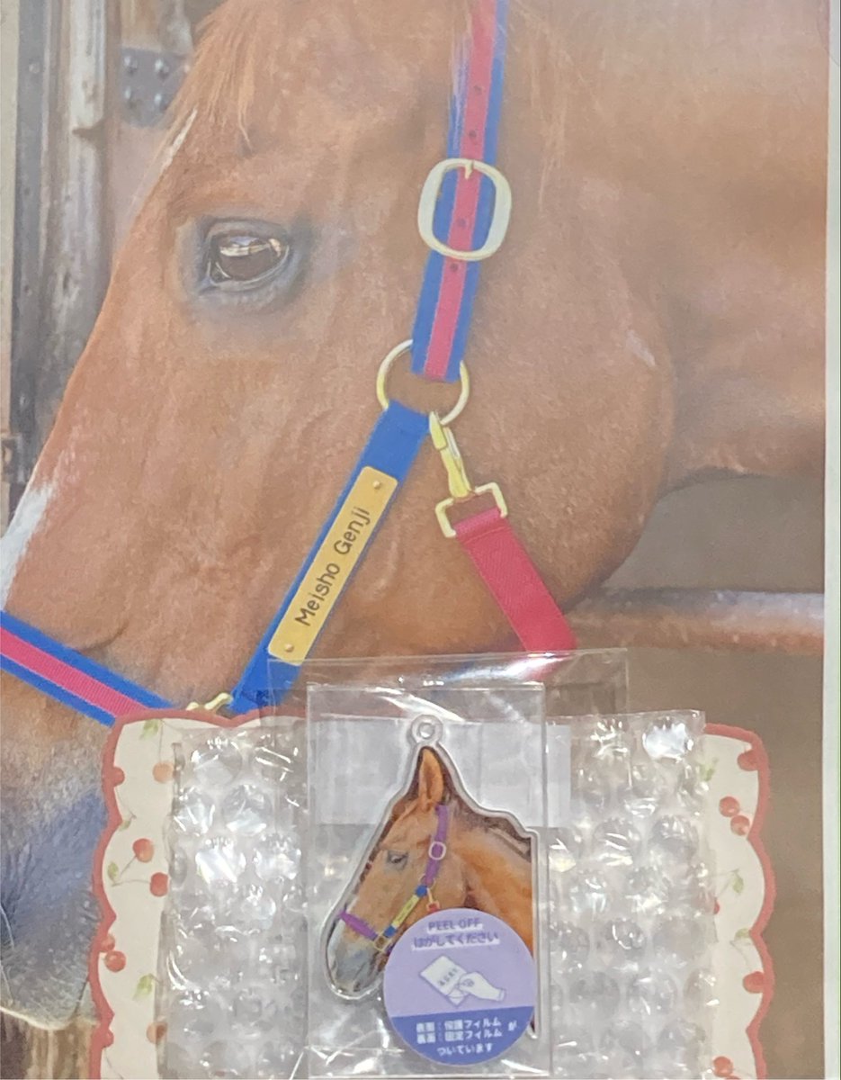 headhihi's tweet photo. @MeishoGenji 
プレゼント当選で頂いた
🐴ゲンジくんフォロワー1000人記念アクリルキーホルダーが無事届きました可愛い！
写真とメッセージの同封もありがとうございます🫶
ケースや額に入れて大切にします。
これからも応援するよ！
お仲間の人間さんと共に夏バテに気をつけよう👍 https://t.co/wjfM9rQvL8