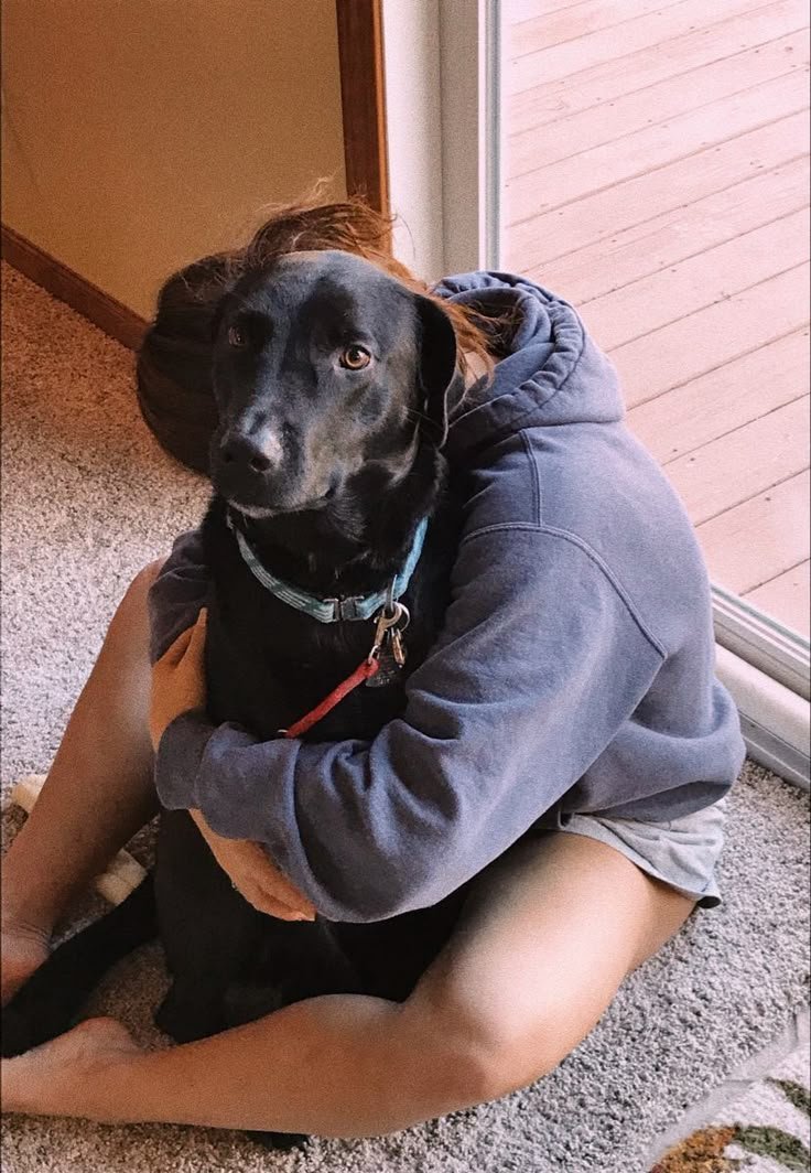 AnnaJohnsooy's tweet photo. Midnight Craver? Tap inn to see what happens next 👇
https://t.co/tgAU1tkzJE

#zoosarevalid #beastiality #dogknot #zooprideisvalid #zoophile #antizoo #antizoophileantizoo #k9girl #zoopride
#zoophilepride #zoopositivity #Bestiality #hypnotistsappho https://t.co/578UyHxibb