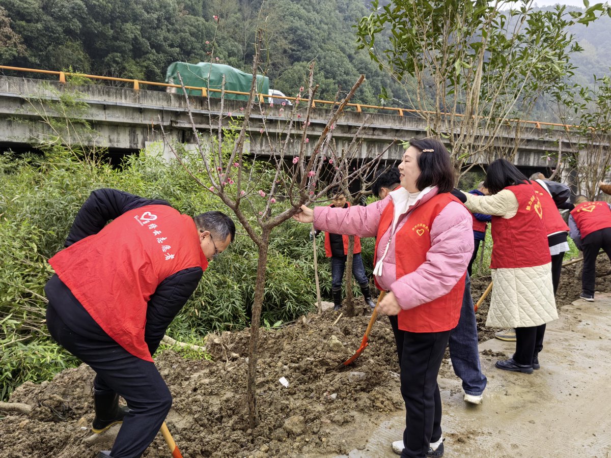 Eunicematulac's tweet photo. Spent this sunny morning volunteering at the city community garden—helped plant veggie seedlings and chatted with lovely neighbors. Small acts make big differences! ， https://t.co/aMVQwAVrMG