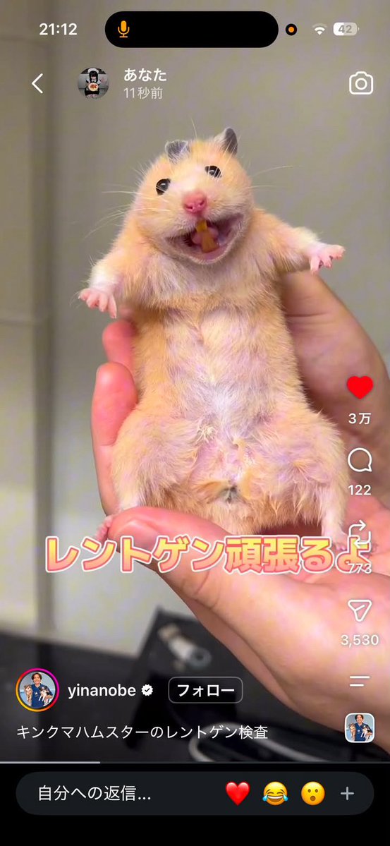 _lrugxd97's tweet photo. 股濡れててガチ最高かわいい https://t.co/jTQwTafU2s