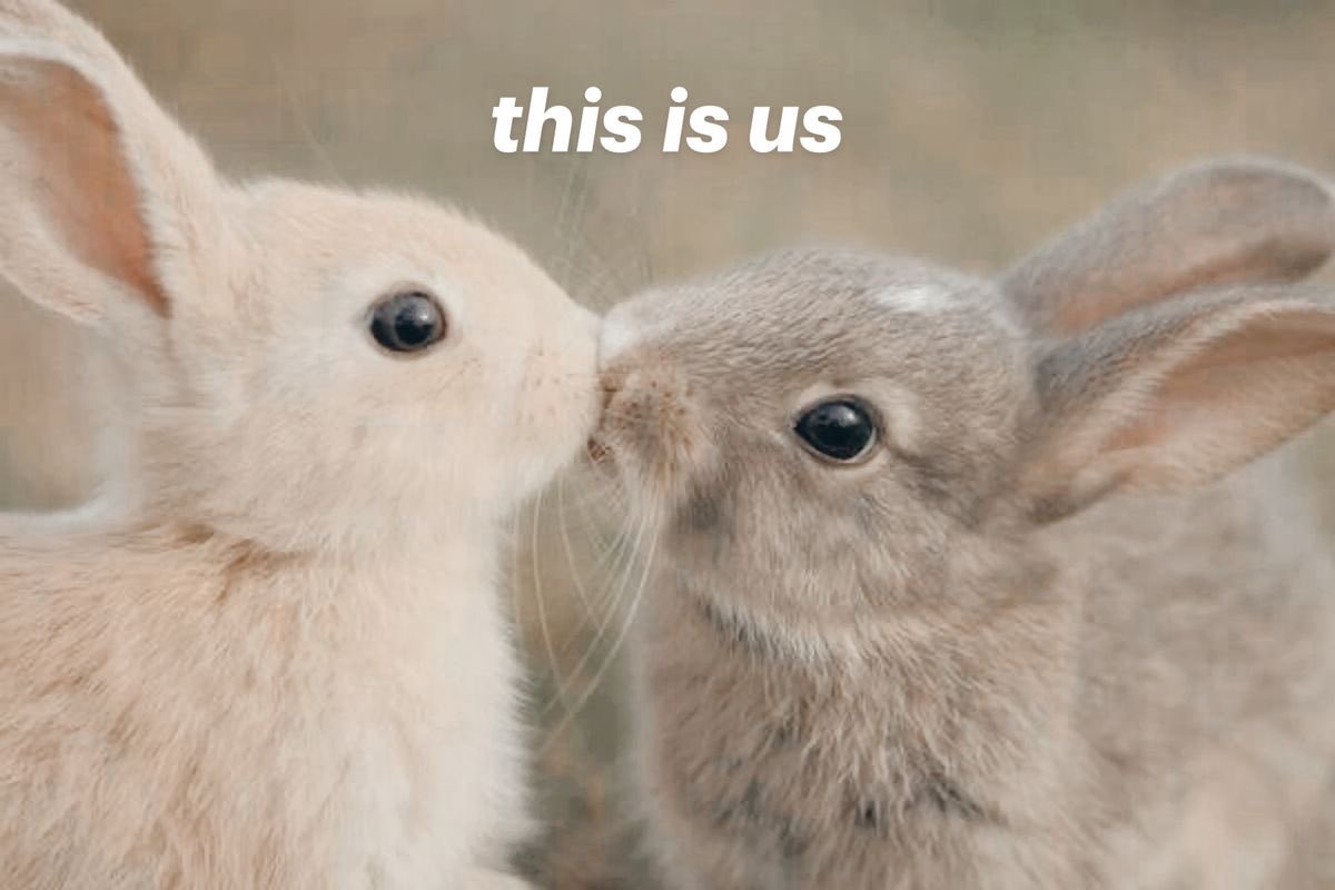 Bunnies's tweet photo. https://t.co/zlzo1u0eSg