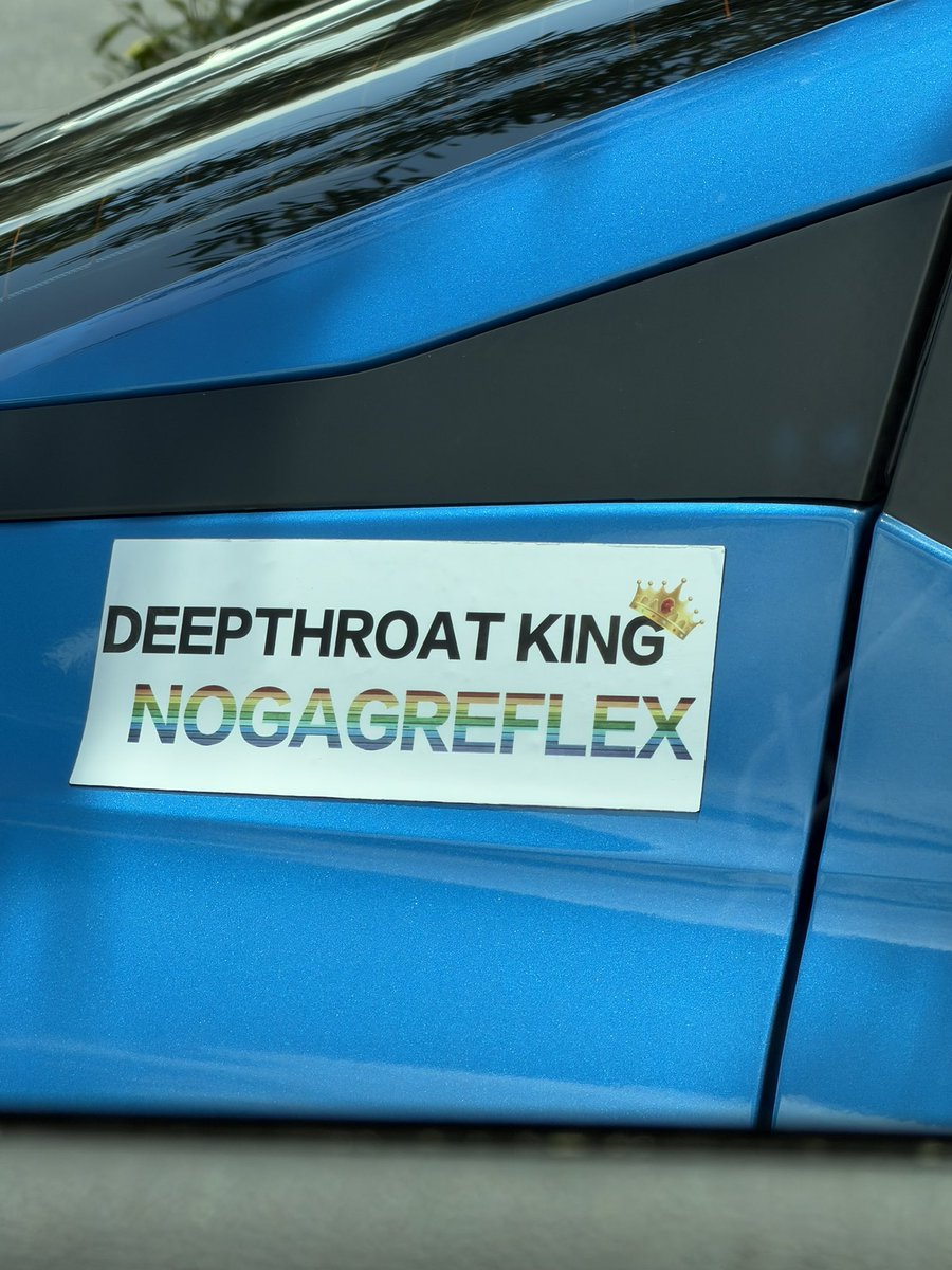 BagCalls's tweet photo. THERE IS NO SHOT I IUST PARKED NEXT TO A CAR WITH THIS BUMPER STICKER

WE LIVE IN A SIMULATION!!! https://t.co/cw0bcpyswB