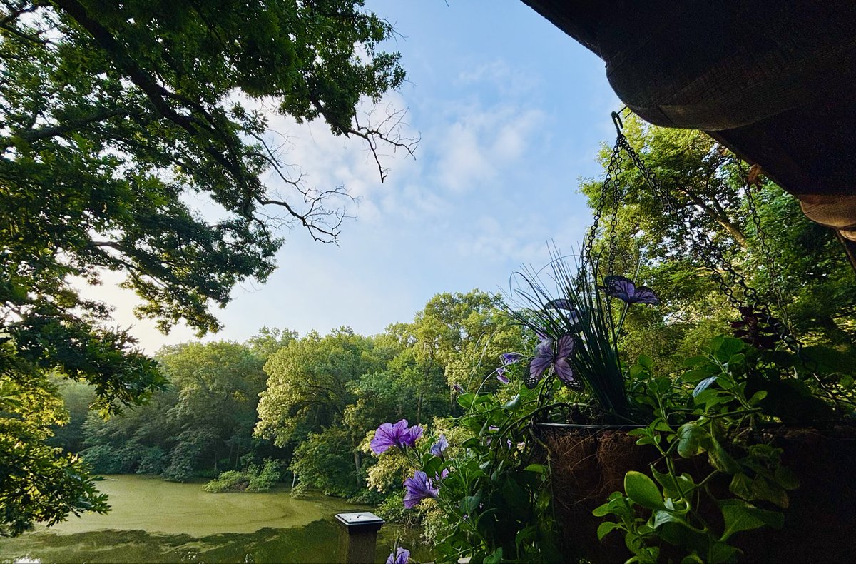 sherrysager1's tweet photo. August dawn in NW Illinois https://t.co/pHCVI5aNHs