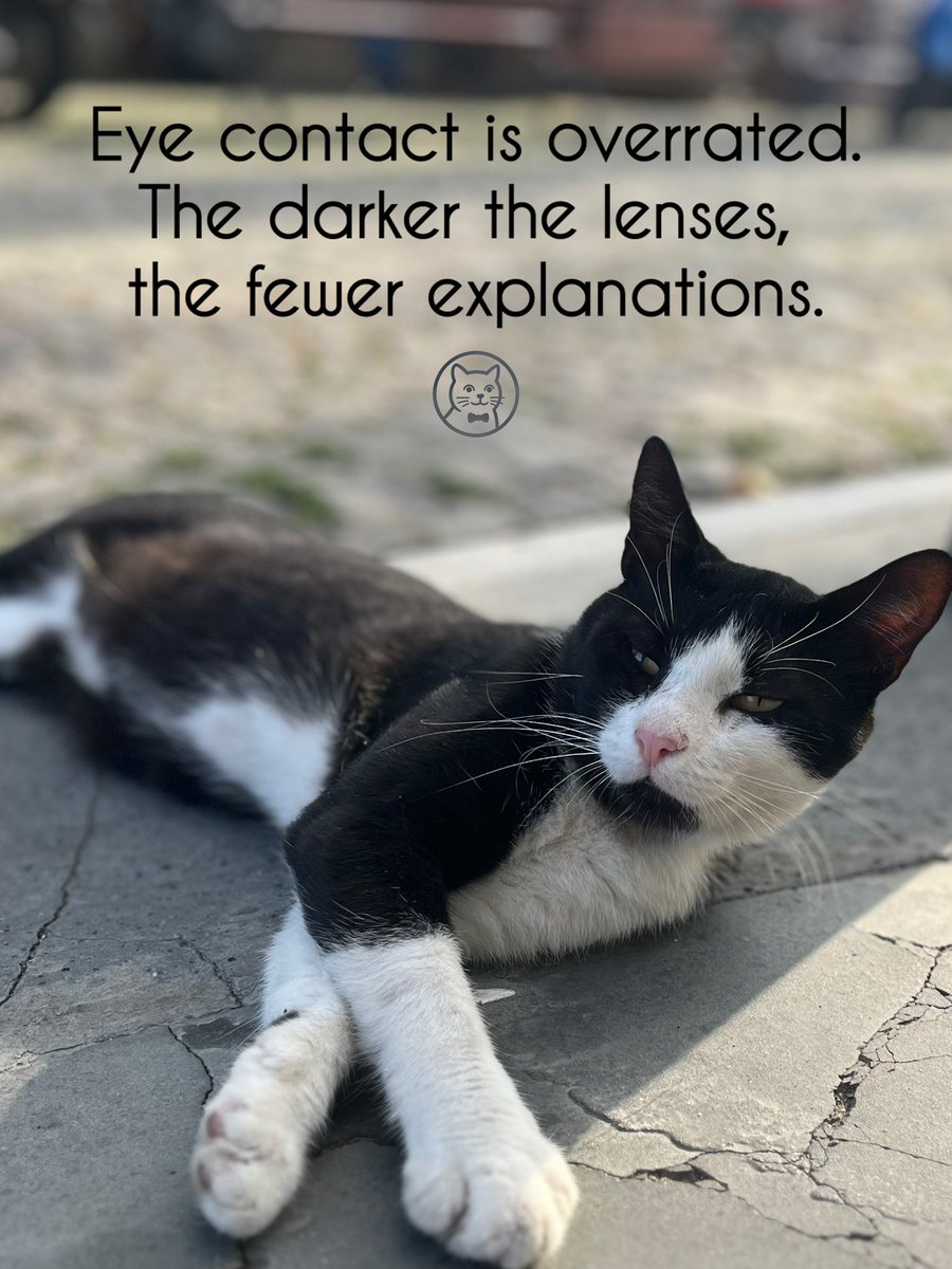 cat_attache's tweet photo. Eye contact is overrated.
The darker the lenses, the fewer explanations.
#cat #diplomacy #sunglasses https://t.co/lWZIzlw5U4