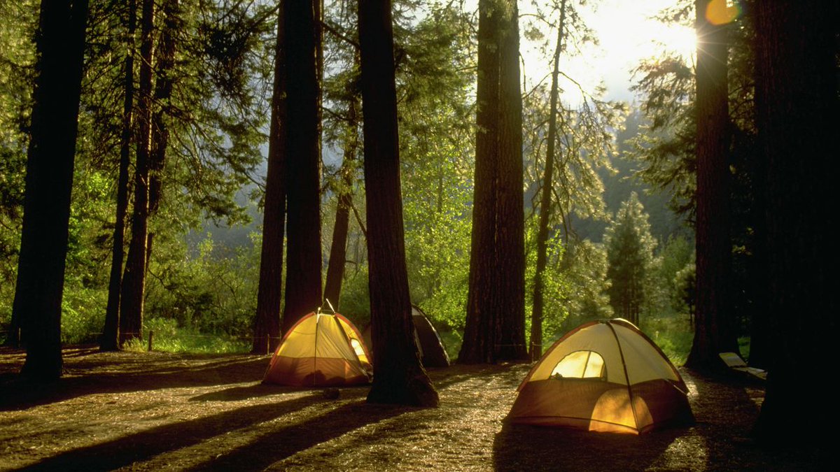 KathyRealtorFL's tweet photo. The 5 Most Beautiful Places to Camp in California https://t.co/0hxmMvYtdo https://t.co/TbeBVtN1Sa