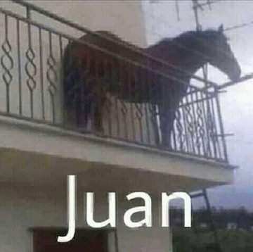 Henarmemente's tweet photo. 🐎 A los juancaballos les interesa esto 👀🌹 https://t.co/pUfGDHnQ5d