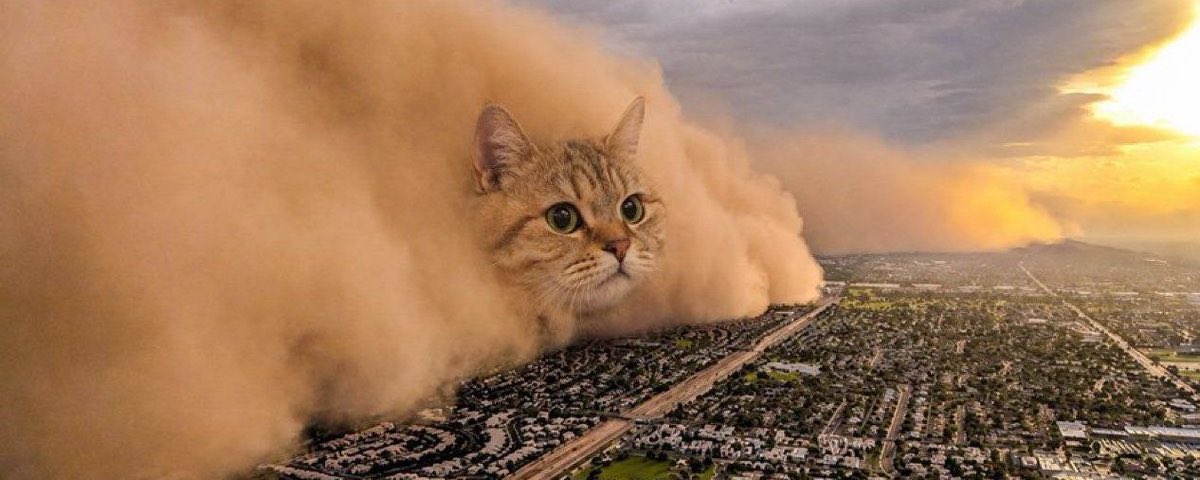 Silvzzzz's tweet photo. @cookerizy $CATE https://t.co/2PcCDe8gdR