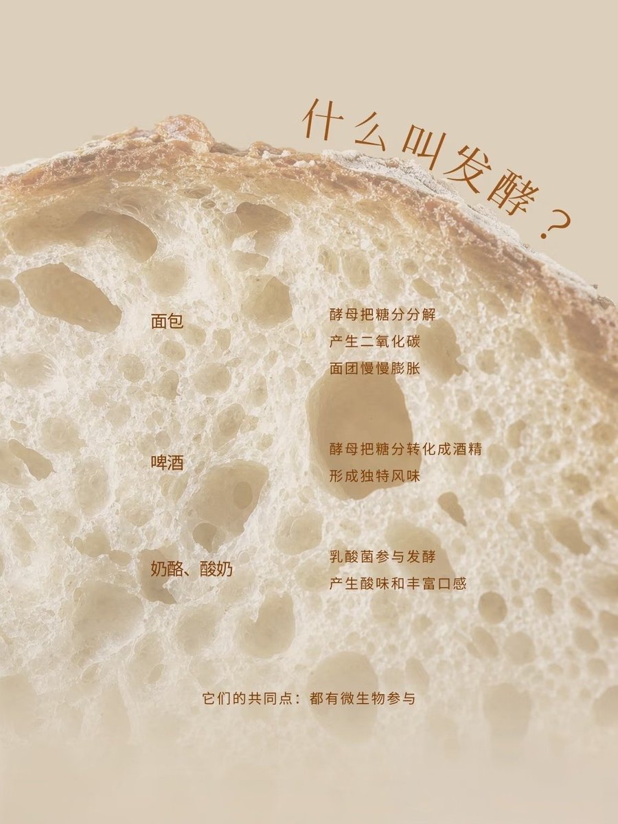 zhileibao's tweet photo. A single leaf’s transformation holds the secret to a thousand tea flavors. 🍂
Fermentation isn't just a process; it’s a slow dialogue with time. The precise moment we stop the oxidation defines the tea's unique profile.
#TeaTime #Fermentation #TeaArt #SpecialtyTea https://t.co/0iEqzo2Tn5