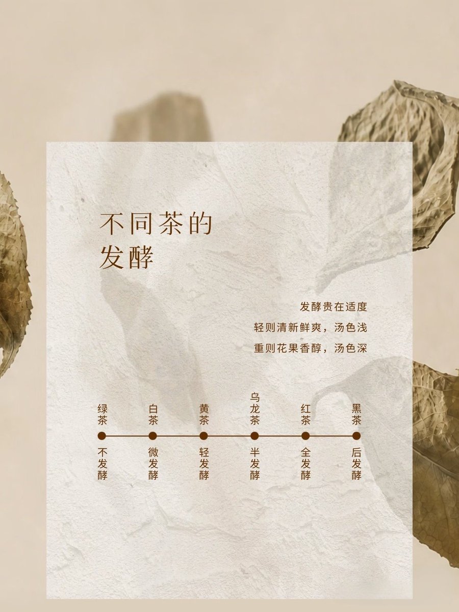 zhileibao's tweet photo. A single leaf’s transformation holds the secret to a thousand tea flavors. 🍂
Fermentation isn't just a process; it’s a slow dialogue with time. The precise moment we stop the oxidation defines the tea's unique profile.
#TeaTime #Fermentation #TeaArt #SpecialtyTea https://t.co/0iEqzo2Tn5