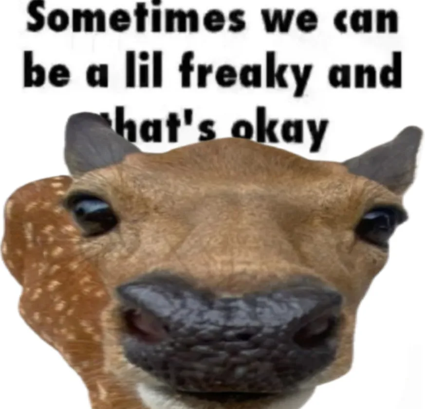deertexting's tweet photo. https://t.co/5OXz0Z8HJ5