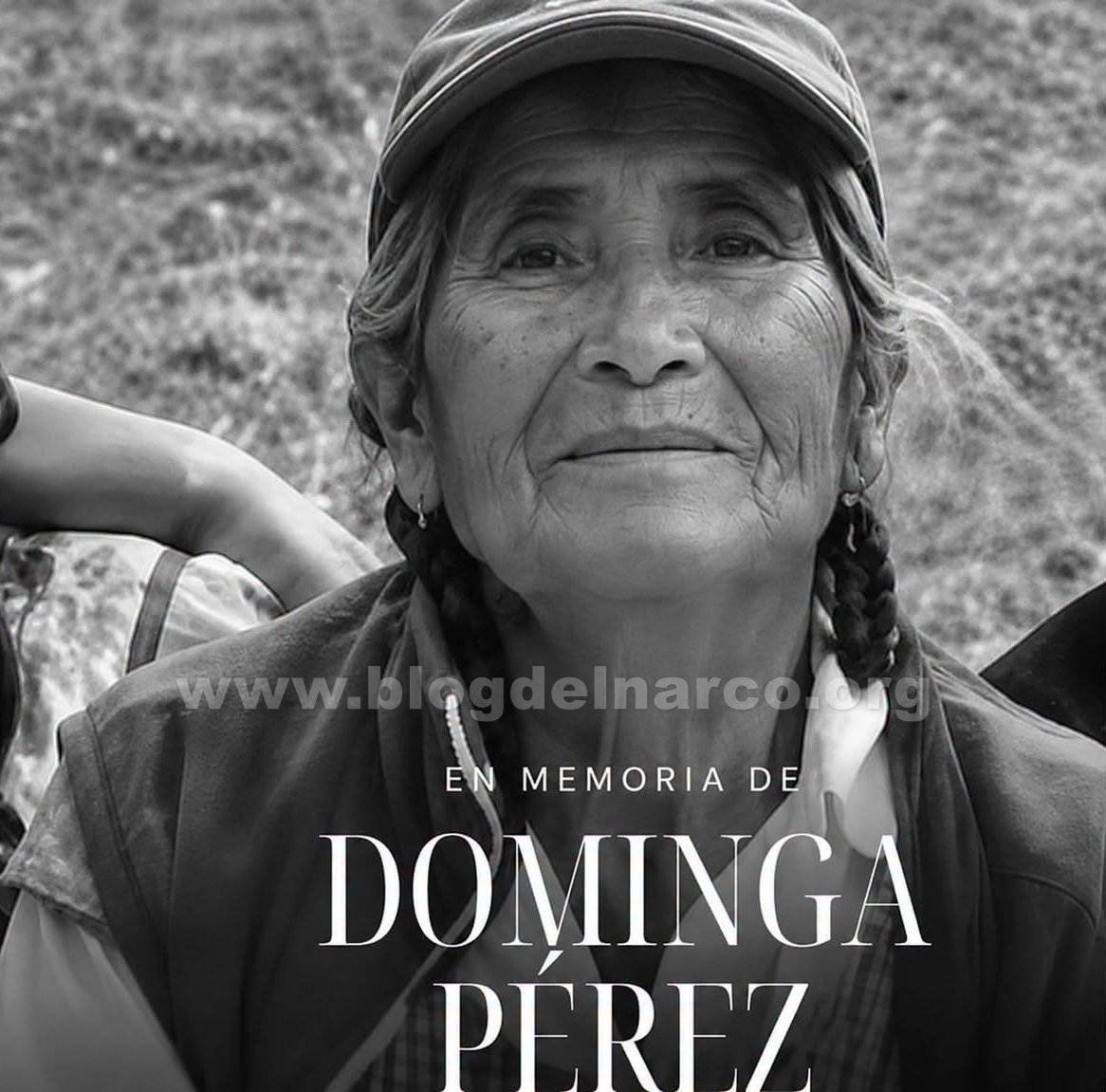 blogdelnarcomex's tweet photo. Justicia!, 82 años, no podía defenderse, no podía forcejear, pero un RATERO HDSPTM y ahora ASESINO, mató a pedradas a Doña Dominga para quitarle 90 pesos, la abuelita regresaba a su casa después de vender cemitas en la junta auxiliar de San Salvador Chachapa de Amozoc, Puebla, LEE MÁS AQUÍ 👇👉 https://t.co/Y4AHBxZnzg