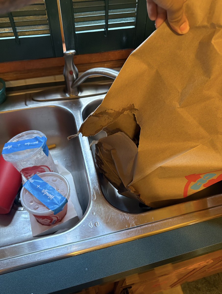 SailorDolphin86's tweet photo. I ordered food for me and my sons to have lunch. The food finally arrives and it’s the wrong order and the strings were spilling and broke through the bag, thankfully over my sink and not on the floor. Despite providing photo evidence, @DoorDash refuses to do anything to help me. https://t.co/RS5Vy0XZTD