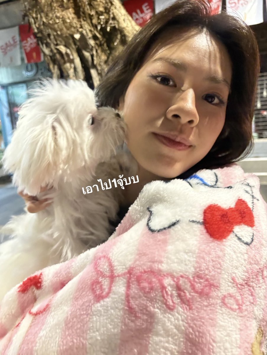 blueyuocean_'s tweet photo. มี่จูว พี่มี่กับมูจูคอลเลคชั่น 🐻‍❄️⭐️💘 https://t.co/x29XEH7Q6k