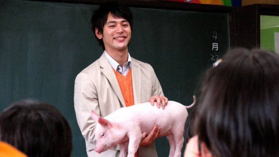 shin_munage's tweet photo. オーナー、この子で有馬記念とりますよ https://t.co/Ak7qgC45ME