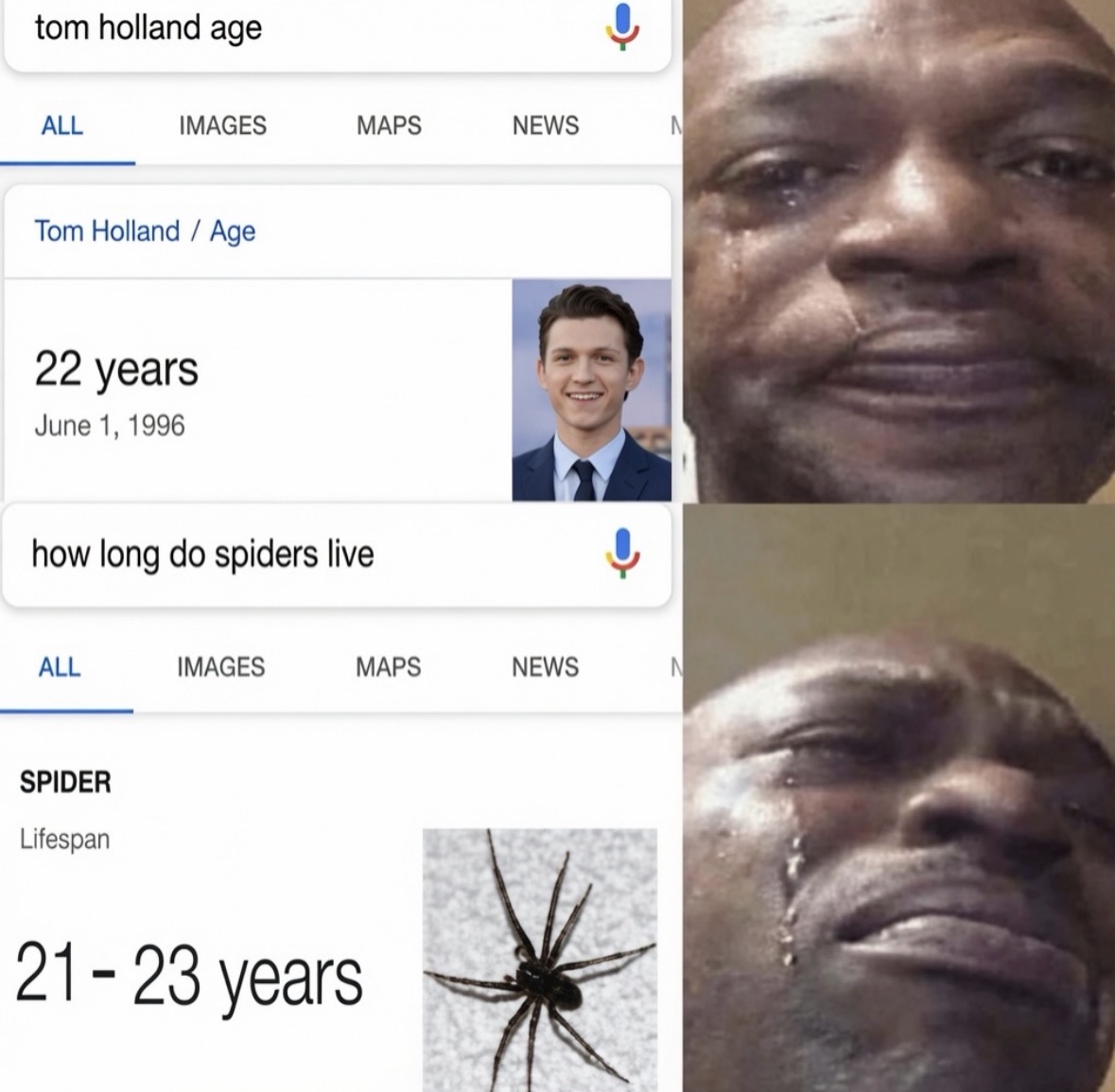 RespectfulMemes's tweet photo. https://t.co/cGwcwMfBYU