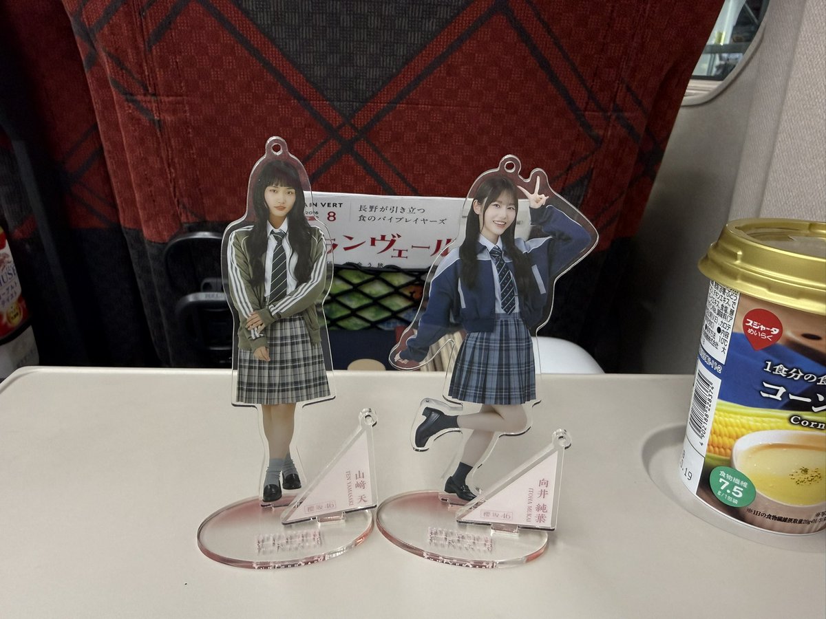 sochaan___'s tweet photo. 念願広島行く！移動5時間😭😭
#櫻坂46_Whatslonesome https://t.co/UHmpget5mP