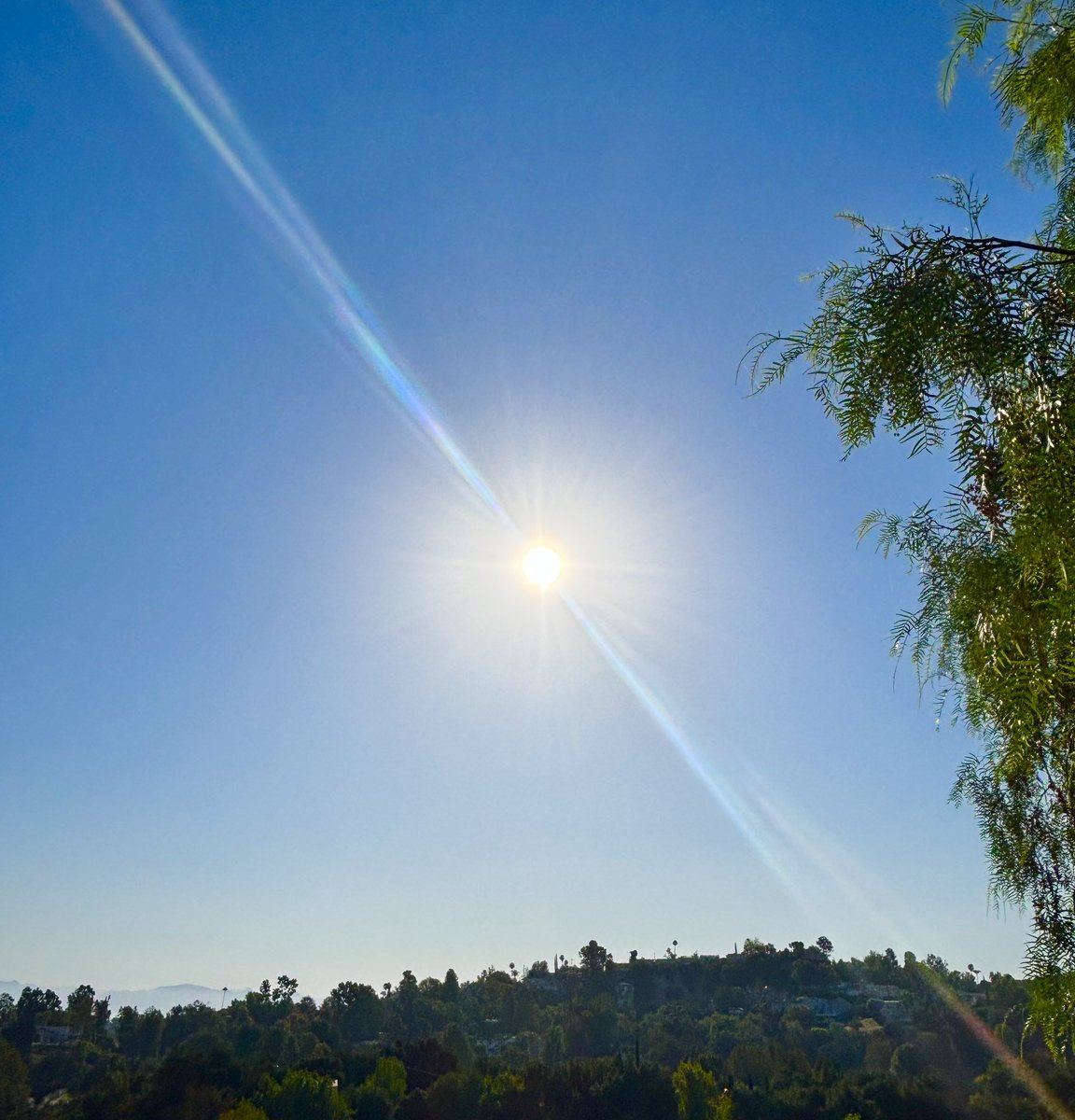 dalehauskins's tweet photo. @LaInaMinute Early morning first Friday of August getting cooler in #Peruvian #peppertrees 91364 Arcos Dr. #LosAngeles #WoodlandHills.
Photo: Grew up in
@PicoRiveraCity #PicoRivera guitarist Dale, #SanFernandoValley.
#Calabasas #VanNuys #TopangaCanyon #SoCal https://t.co/XhxybWrCSV