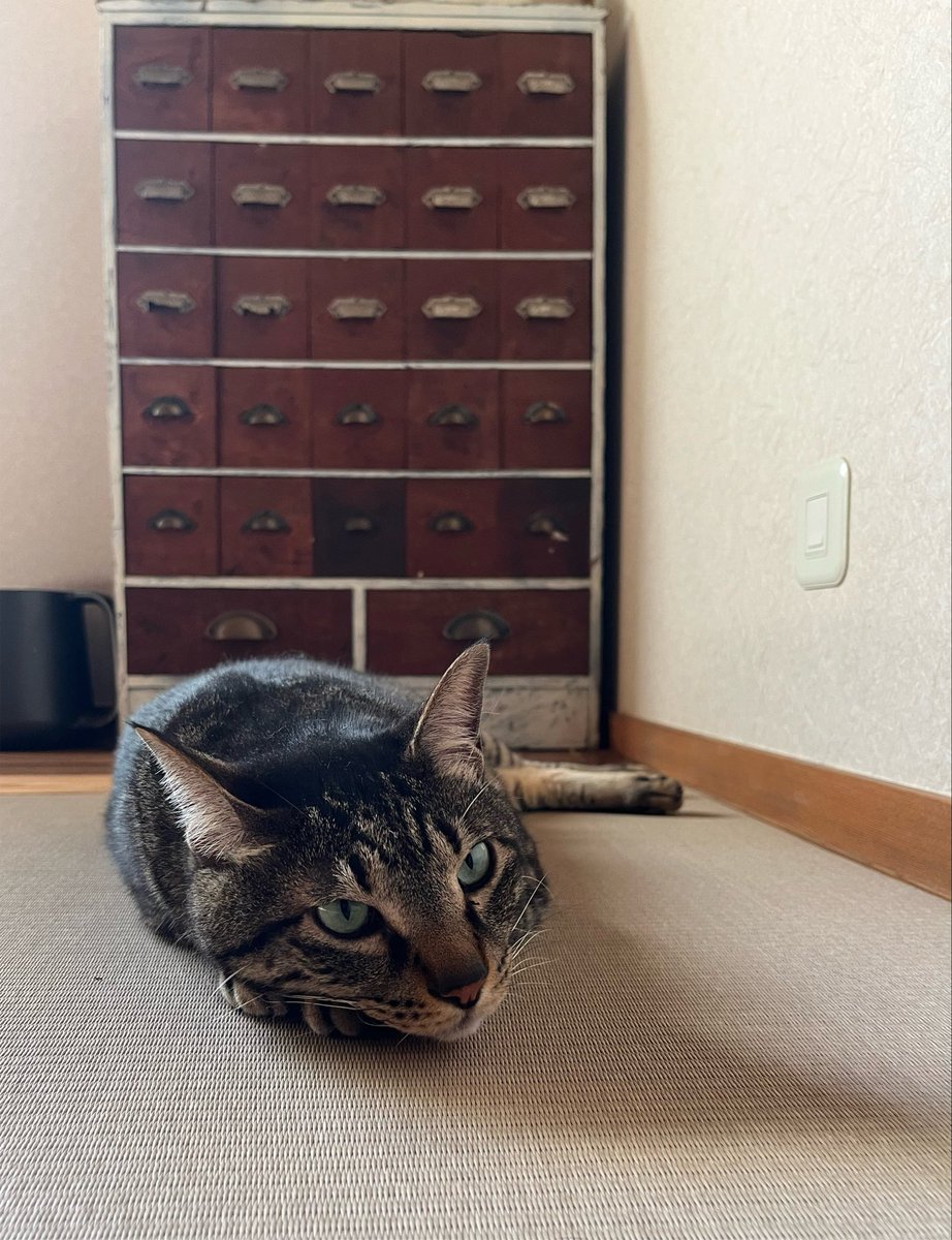 Hirobiro3030's tweet photo. 朝5時に起きて墓掃除したす。
今日も通常勤務頑張ります。
おはようございます！☔️ https://t.co/O1jjFuR8RB