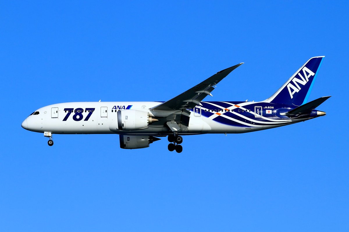 doll128atis's tweet photo. 全日空 B787-8 （B787-881/JA801A）

全日空が世界で初めて受領したボーイング787-8がJA801A
2号機（JA802A）共に特別塗装機になりましたが
マニアさんの中では「鯖」と呼ばれてました💦
残念ながら、2017年頃に一般的なトリトンブルーになっちゃいました

2012年12月 川崎 https://t.co/4LTpXd0Rxi