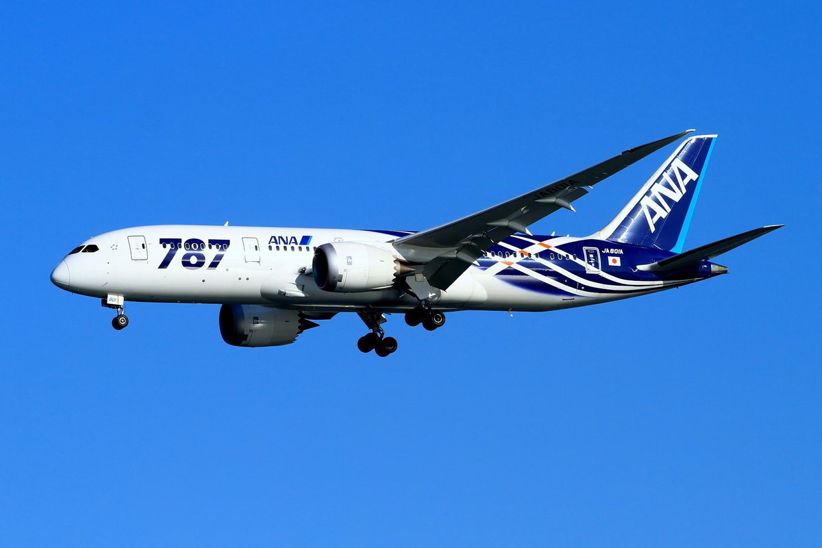 doll128atis's tweet photo. 全日空 B787-8 （B787-881/JA801A）

全日空が世界で初めて受領したボーイング787-8がJA801A
2号機（JA802A）共に特別塗装機になりましたが
マニアさんの中では「鯖」と呼ばれてました💦
残念ながら、2017年頃に一般的なトリトンブルーになっちゃいました

2012年12月 川崎 https://t.co/4LTpXd0Rxi