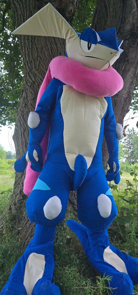 Aredy_Redler's tweet photo. Stoic Greninja https://t.co/HPsH0hOQGm