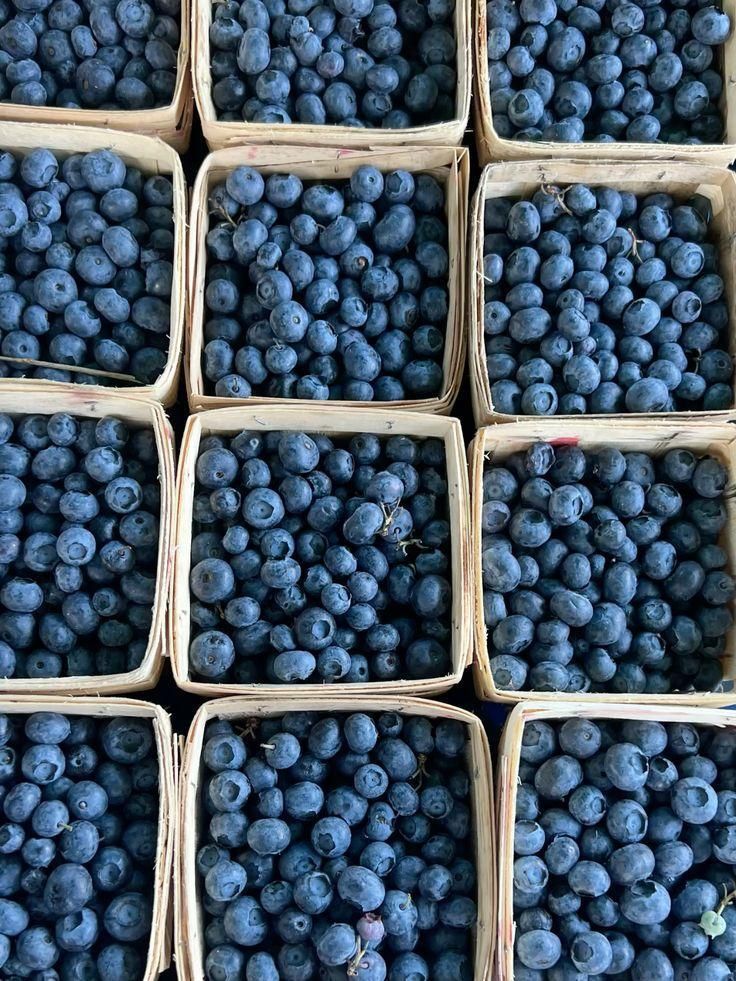 bluedreamvibes's tweet photo. blueberries

🫐🫐🫐🫐 https://t.co/XjrjC3Enwy
