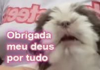 abacateben's tweet photo. @galistarologa a gente sabe o que é bom de vdd https://t.co/FZ1HYmxj6h