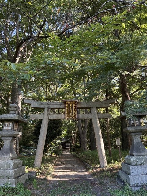 MA71665045's tweet photo. おはようございます(^^)

#イマソラ
#日吉神社 https://t.co/5equ8Q7Mbv